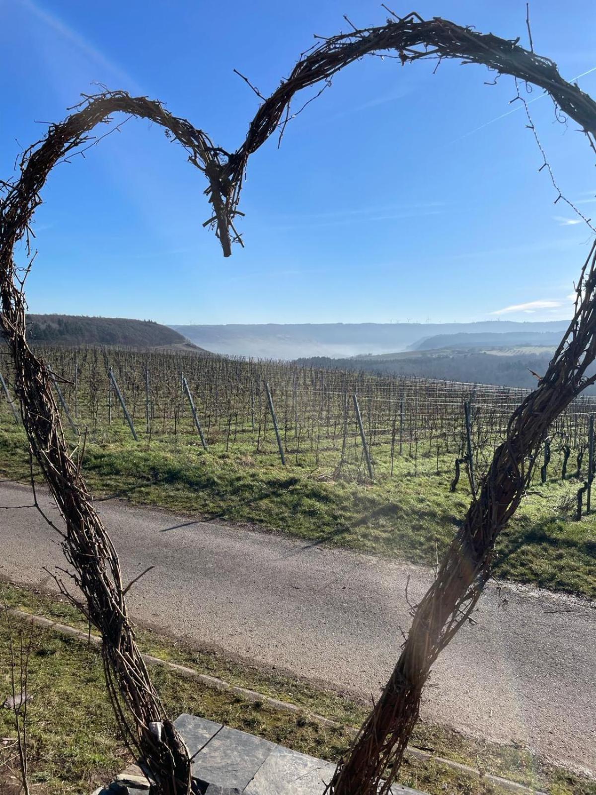 Fewo Waldblick - Urlaub Im Wein & Ferienort Bekond エクステリア 写真